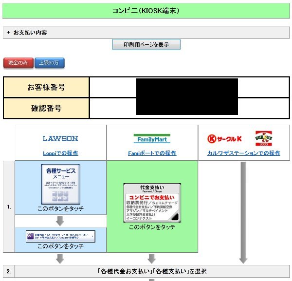 jetstaryoyaku019