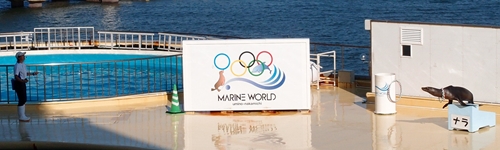 marineworldd003