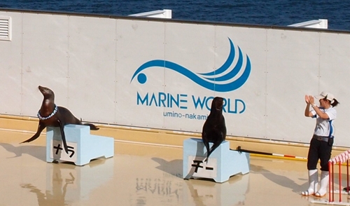 marineworldd004